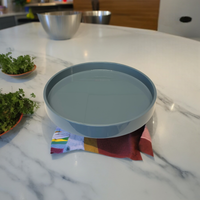 Laquered Round Tray