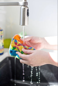 Euro Scrubby