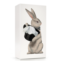Wonder Rabbit Tissue Box