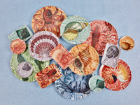 Palm Bch Jellyfish Valet Tray