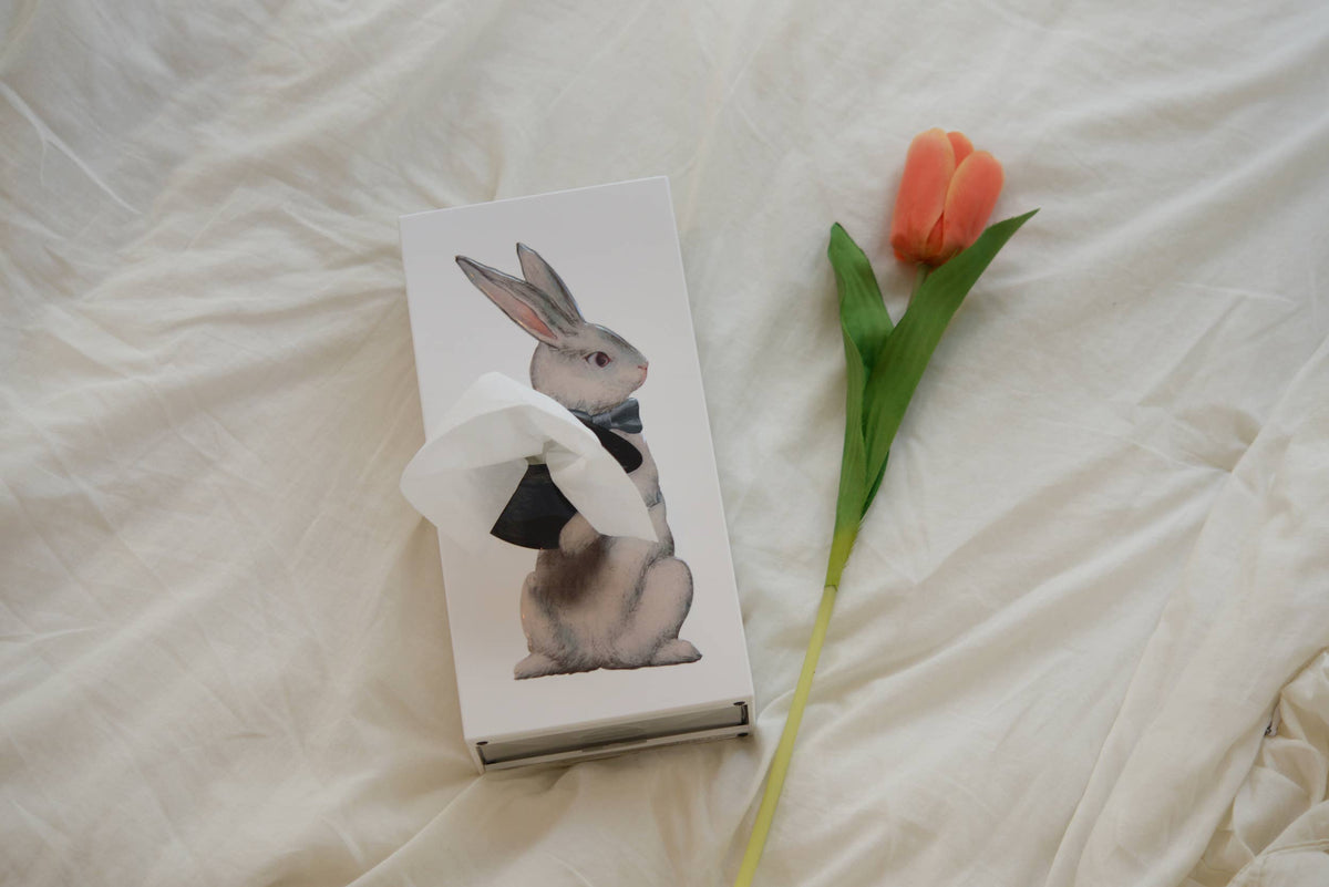 Wonder Rabbit Tissue Box