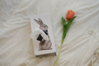 Wonder Rabbit Tissue Box