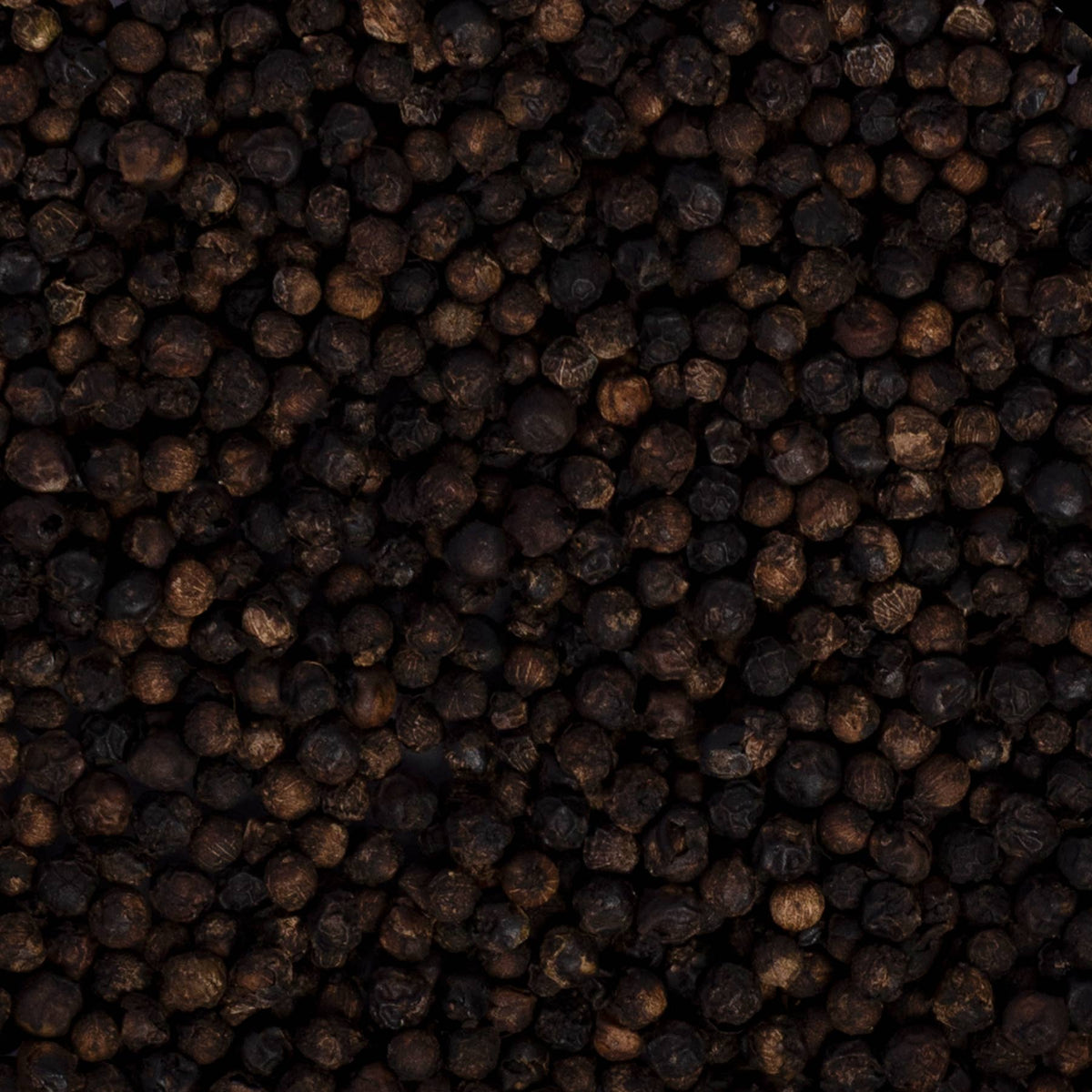 Milly Pepper Freshly Harvested