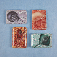 Palm Beach Octopus Valet Tray