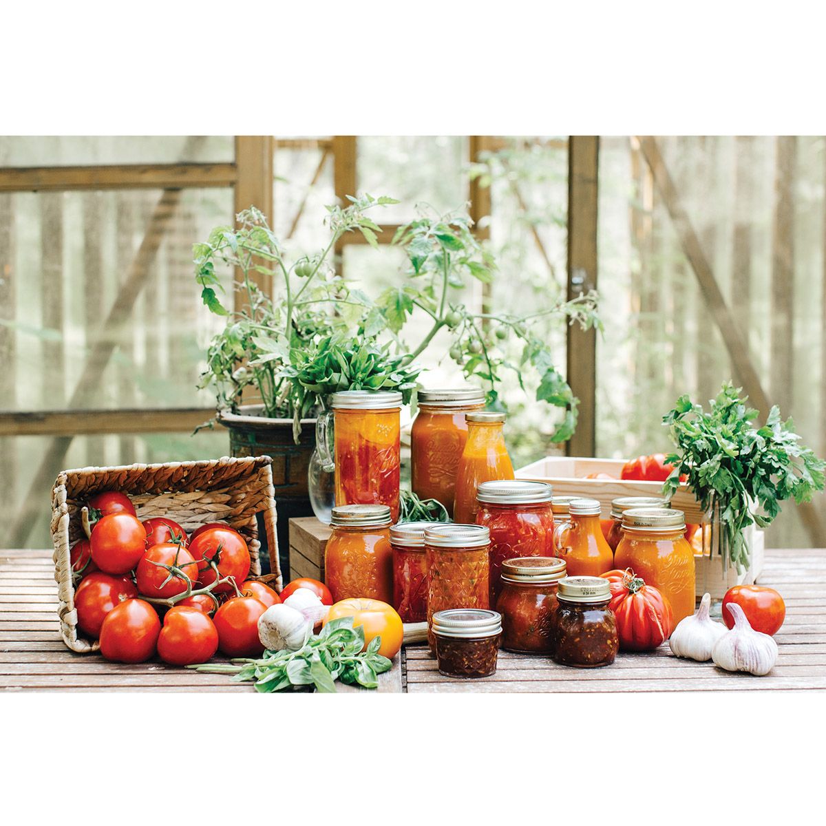 Canning Funnel Stainless