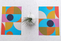 Gumball REV Placemat Woven