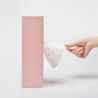 Flying Skirt Tissue Box