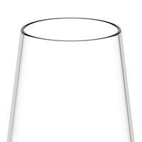 Govino Set of 2 Flutes 8.9oz