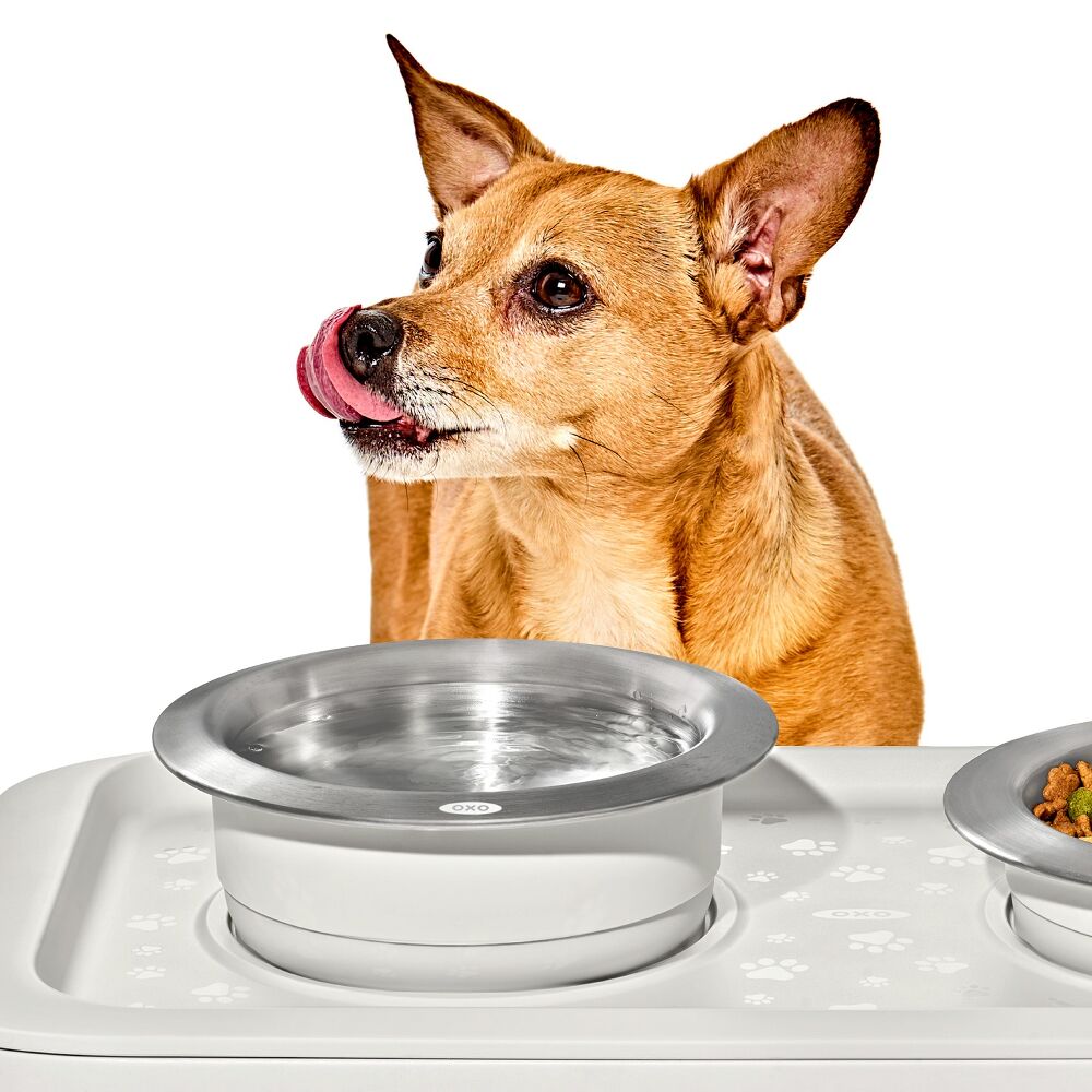 Nonslip Pet Bowl
