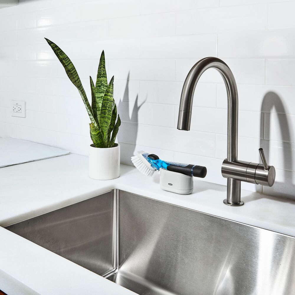 Dish Brush with Storage