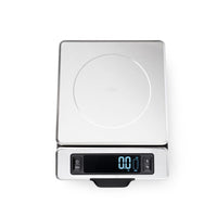 Stainless Scale w/pull out
